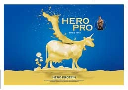 hero pro