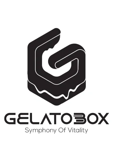 GellatoBox Logo and Brand Visual Identity