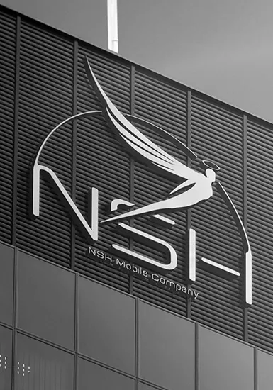 NSH Brand Visual Identity and Logo Design